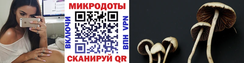 Псилоцибиновые грибы Psilocybine cubensis  где найти наркотики  Дедовск 
